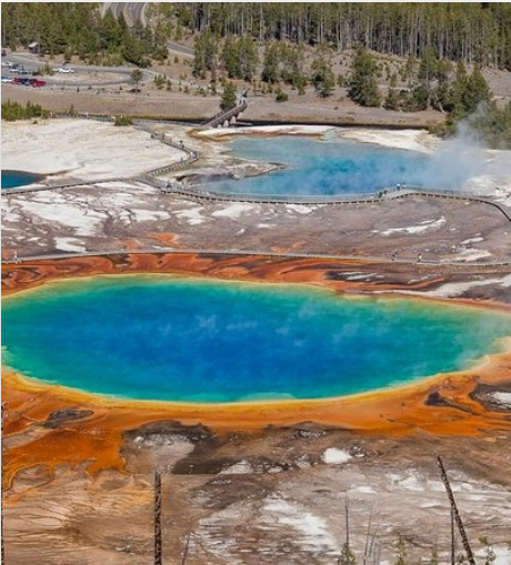 Yellowstone National Park Tours | Wildlife & Nature Tours