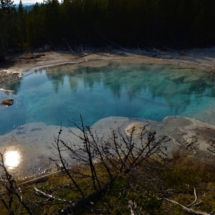 Guided Nature Tours in Yellowstone National Park