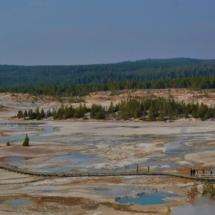 Norris Geyser Basin Yellowstone National park