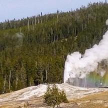 Tour The Geysers in Yellowstone National Park