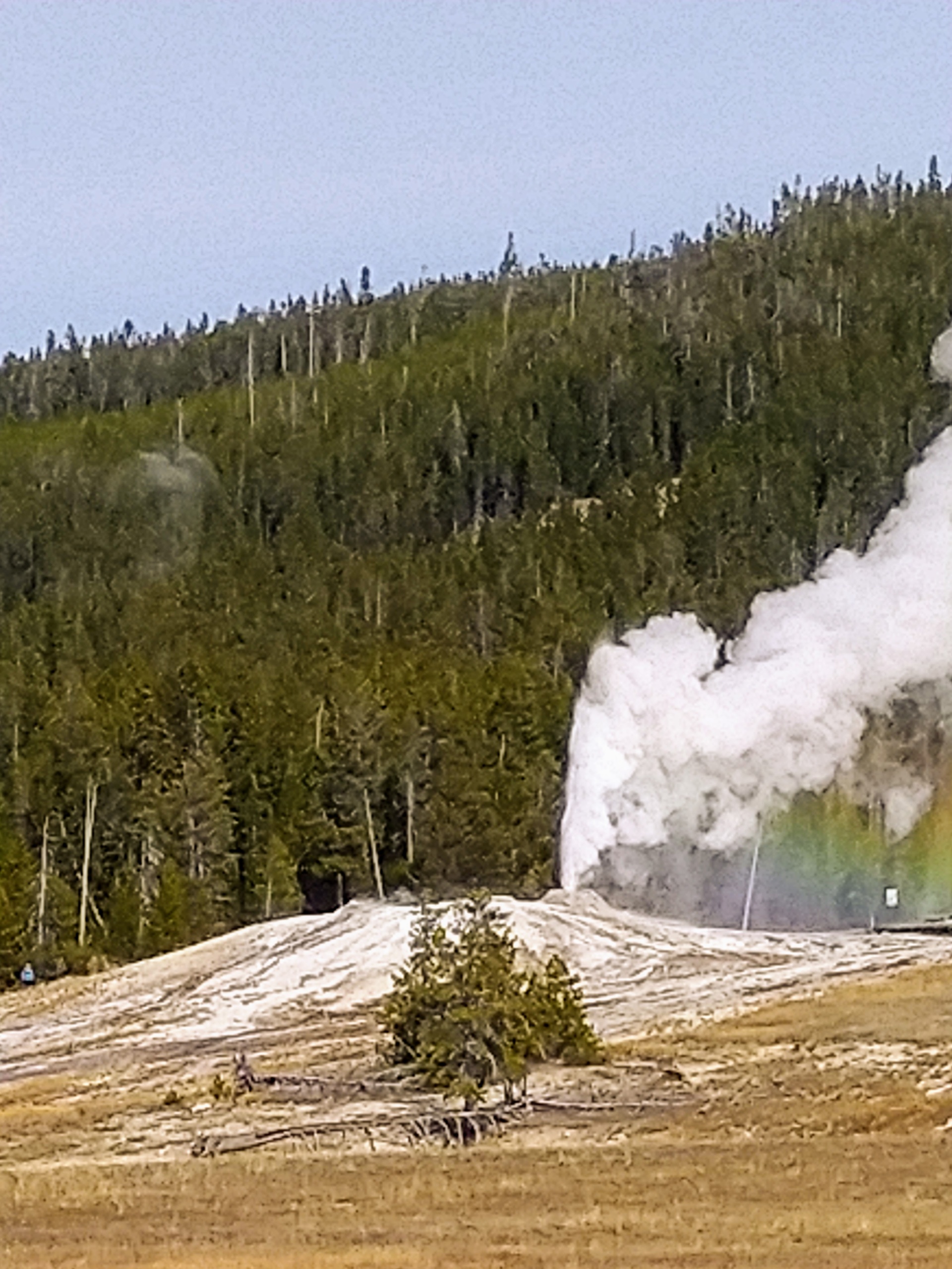 Tour The Geysers in Yellowstone National Park