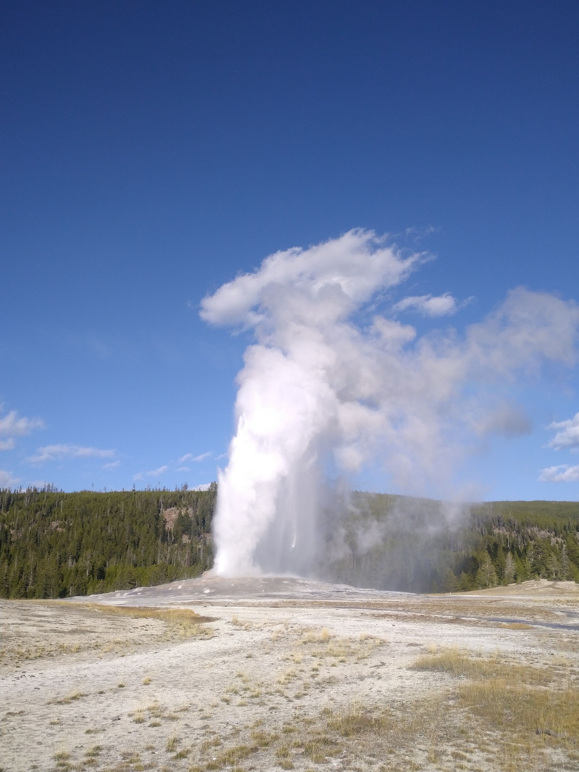 Yellowstone National Park Tours | Wildlife & Nature Tours