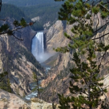 Lower Yellowstone Falls- Yellowstone River Artist point