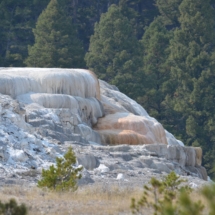 Geologic Features on a Tour of Yellowstone National Park