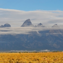 25 fall Tetons